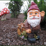 Fairytale creatures - Gnomes